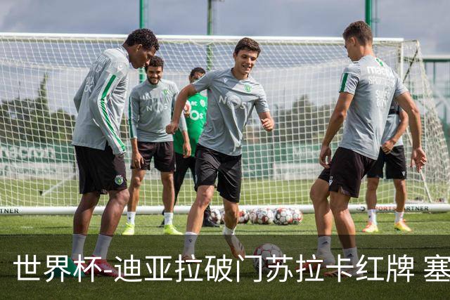 世界杯-迪亚拉破门苏拉卡红牌 塞内加尔半场1-0伊拉克